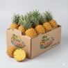 Ananas Victoria - Fruit provenant de île de la Réunion